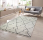 Preview: Teppich in Creme Grau