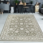 Preview: Teppich Grün Beige floral pflegeleicht robust vielseitig
