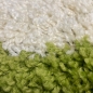 Preview: Weicher Shaggy Teppich Mehrfarbig Grün Grau Creme – moderner Hochflor Teppich