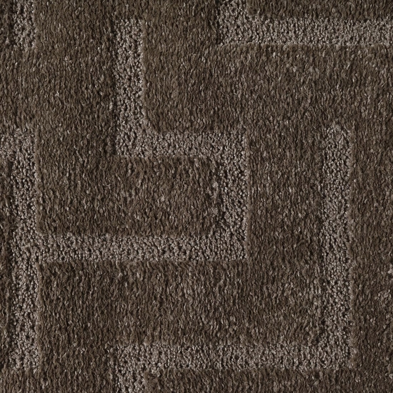 Teppich in Dunkelbraun pflegeleicht weich robust modern