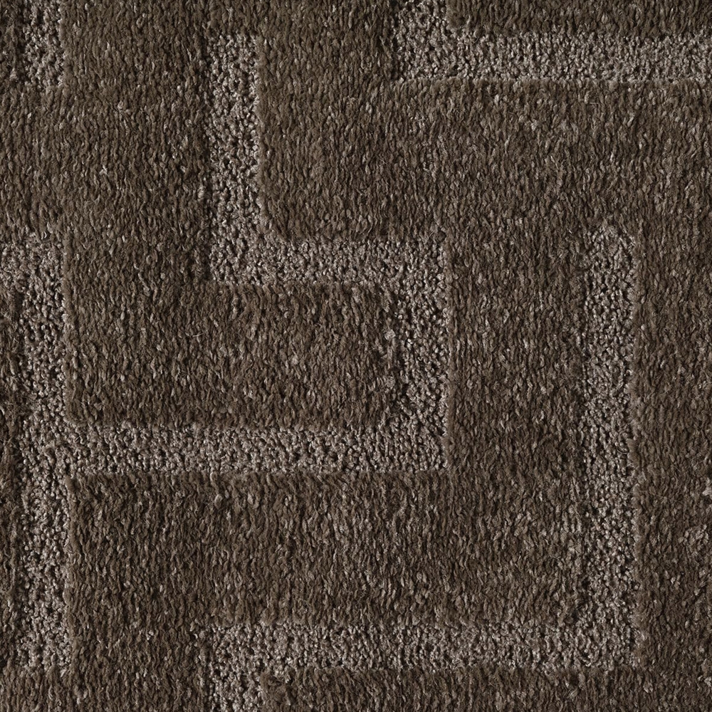 Teppich in Dunkelbraun pflegeleicht weich robust modern
